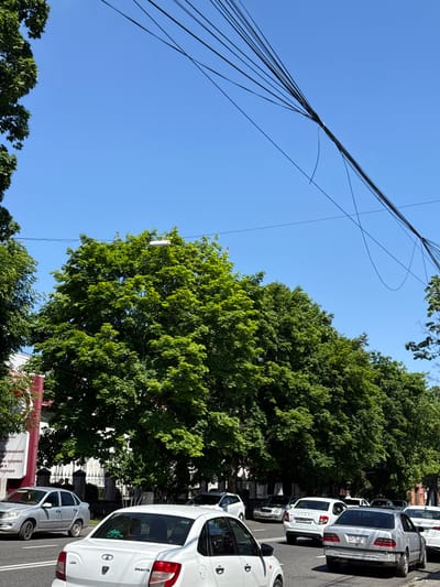 A street scene in Ver. Alkun, Russia, features a line of cars parked along a road, with a lush green tree on the left side of the frame. The sky is a clear, bright blue, suggesting a sunny day, likely in the late morning or early afternoon. A tangle of black wires stretches across the upper portion of the image, crisscrossing against the sky. The cars, primarily white and silver, are parked in a single file on the right side of the road. One white car, with "GRANTA" and "LADA" visible on its rear, is prominently featured in the foreground. Another silver car is visible behind it. In the background, behind the cars and trees, architectural elements are suggested, hinting at buildings lining the street. There is no visible indication of people actively engaged in any activity. The overall impression is one of a quiet, ordinary day in a town with significant tree cover. There is some text on a red and white sign in the lower left corner, but it is largely illegible due to the angle and resolution.