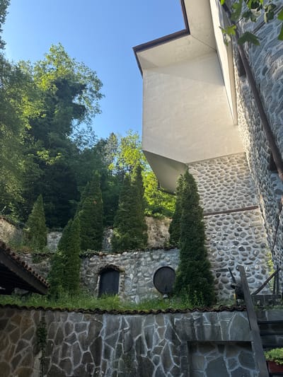 This image depicts an outdoor architectural and natural scene in Melnik, Bulgaria. The composition is dominated by multi-tiered stone walls and a modern building section, set against a backdrop of dense foliage and a clear blue sky.

In the upper right, a section of a white, smooth-textured building with sharp, angled lines and a prominent overhang is visible. A dark brown gutter runs along its upper edge. Below this modern structure, and extending to the right, a wall is constructed from numerous small, rounded, light grey river stones, mortared together. This wall incorporates horizontal bands of flat, darker grey stones. Below this, and continuing to the left across the middle ground, are retaining walls made of irregularly shaped, larger, flat grey stones with visible mortar lines. These lower walls are topped with rows of red-brown terracotta roof tiles, from which green grass and weeds grow.

Several tall, slender, dark green, conical evergreen trees are strategically planted on the terraces between the stone walls, providing vertical accents. On the far left, part of a dark wooden roof structure with terracotta tiles is visible. Integrated into one of the rounded-stone walls is a dark, arched wooden door. Further right on the same wall, a dark wooden barrel is horizontally affixed. On the far right, a segment of a rustic wooden staircase or railing, dark in color, descends.

The background, particularly on the left and center, features a steep hillside densely covered with lush, vibrant green deciduous trees and other foliage under a bright, clear blue sky. The scene is illuminated by natural sunlight, casting shadows that highlight the textures of the stone and the angularity of the white building. No people or animals are visible in the image.