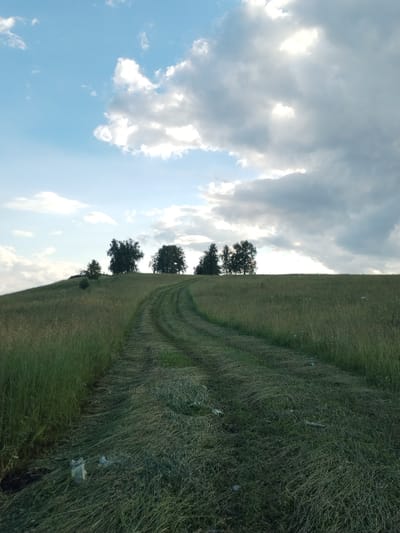 The image depicts a serene, rural landscape in Chebarkul', Russia. The scene is dominated by a grassy hill with a dirt track winding its way up towards a cluster of trees at the crest. The track is partially mown, with a fresh cut visible, suggesting recent agricultural activity. Several trees, including what appear to be birch trees with their distinctive white bark, are silhouetted against a dramatic sky. The sky itself is a blend of bright blue and heavy, dramatic clouds, with sunlight breaking through in places, indicating either early morning or late afternoon light. The overall mood is peaceful and natural, evoking a sense of rural tranquility. There is no visible text in the image. The presence of some scattered debris on the track, appearing as white plastic bags, detracts slightly from the natural beauty of the scene, suggesting it might be a less frequented area.