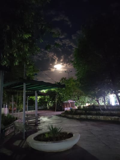 This media file captures a serene night scene in Navoiy City, Uzbekistan. The primary subject is a park bathed in the soft glow of a full moon, which is visible through scattered clouds in the dark night sky. The moon casts a gentle light over the landscape, illuminating trees and pathways.

The setting appears to be a public park or recreational area. Prominently featured is a covered seating area with a green roof supported by metal poles, providing shelter. Several park benches are visible, some beneath the shelter and others in the open, suggesting a place for relaxation and gathering. A white, curved planter with a spiky plant in the foreground adds a decorative element to the scene.

In the background, a small, wooden structure, possibly a kiosk or a small building, is visible, along with more trees and greenery. Artificial lighting from lampposts and other unseen sources further enhances the visibility of the park, creating a warm ambiance despite the darkness. The ground appears to be paved, with wet patches indicating recent rain or water sprinklers, reflecting the light.

There are no people visible in the image, contributing to a sense of quiet solitude. The overall mood is peaceful and tranquil, enhanced by the natural beauty of the moonlight and the well-maintained park environment. The time of day is clearly night, as indicated by the dark sky and the presence of the moon and artificial lights. The weather appears calm, with the moon partially obscured by clouds. No visible text is present in the image.