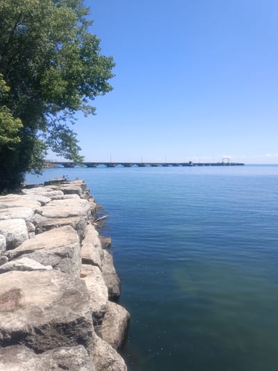 An outdoor, ground-level, vertical, full shot photograph captures a serene waterfront scene in Oakville, Canada, on a clear, sunny day. The foreground is dominated by a rocky shoreline, composed of large, irregularly shaped, light-colored stones. To the left, a lush green tree with dense foliage extends into the frame, its branches casting shadows.

The middle ground features a calm, blue body of water, likely Lake Ontario, with gentle ripples on its surface. A single individual is visible in the water, seated on a light-colored kayak or paddleboard, facing away from the camera and towards a distant bridge. The kayak is positioned near the rocky shore.

In the background, a long, concrete bridge stretches horizontally across the water, supported by piers. Streetlights are visible along the bridge's length. Further in the distance, the shoreline continues, with some structures and what appears to be industrial elements at the far right end of the bridge. The sky above is a vibrant, cloudless blue. The overall atmosphere is tranquil and bright.