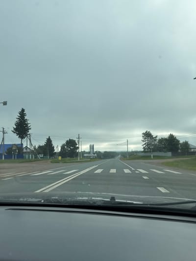 The image shows a view from inside a vehicle driving on a road. The road is paved and has white lane markings and a pedestrian crossing. There are trees and houses on the side of the road, as well as power lines and poles. The sky is cloudy. The overall impression is that of a rural or suburban setting on an overcast day. The image appears to be taken in Staroshareevo, Russia.