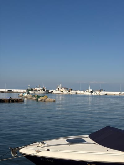 The image shows a harbor in Nea Kallikratia, Greece, under a clear blue sky. Several fishing boats are docked along a white concrete breakwater. In the foreground, a white motorboat named "Violeta" is moored, its bow facing the viewer. The water is calm and reflects the blue sky and the boats. There are a few scattered clouds in the distance. On the breakwater, there are streetlights, a few people walking, a black car, and a white car. A floating platform with fishing gear is also visible in the water, near some of the docked boats. The overall scene depicts a typical day at a Greek fishing harbor.