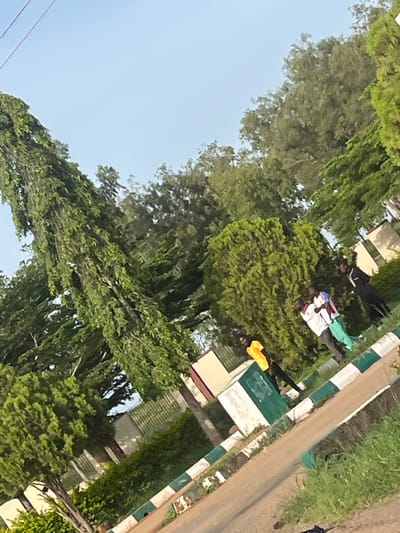 The image depicts an outdoor scene with lush greenery and a clear sky, likely in Heipang, Nigeria. In the foreground, a paved area with a distinct border of white and green painted curbs is visible. Several people are present. On the left, a person in a yellow shirt and black pants stands near a white and green structure. Further back, two individuals are interacting, one wearing a white shirt with red and blue accents, and another in green pants and a white shirt. To the right, a person in a black, long garment stands observing. The background is dominated by various trees, including a tall, slender evergreen on the left and denser, rounded trees to the right. A fence can be seen behind the trees on the right side of the image. The lighting suggests it is daytime with the sun casting soft shadows.