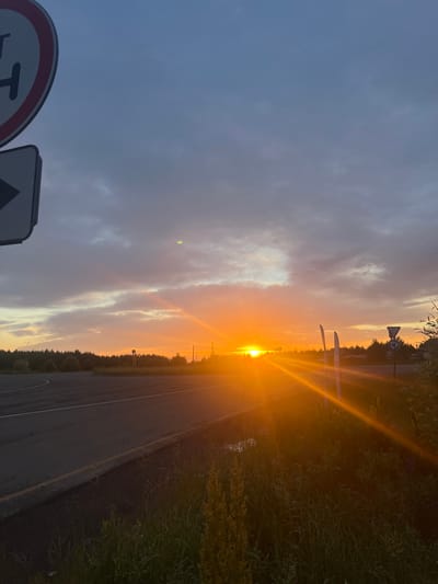 The image shows a sunset over a rural road in Gol'yany, Russia. The sky is filled with dramatic clouds, ranging from dark gray to bright orange and yellow, illuminated by the setting sun. The sun itself is a brilliant orb, casting long rays of light across the scene. A paved road curves into the distance on the left side of the image, with a yellow line marking the center. On the right side of the road, there is a patch of tall grass and foliage. Several road signs are visible, including a circular sign with a red border and a black "H" on a white background on the left, and a triangular sign with a red border and a black arrow on a white background below it. Further down the road, another circular sign with a red border and a blue background, indicating a roundabout, is present. Two tall, slender, white poles stand near the road, and the glint of sunlight reflects off their surfaces. The distant horizon is lined with a dense forest. The overall scene is one of natural beauty and the tranquility of a rural sunset.