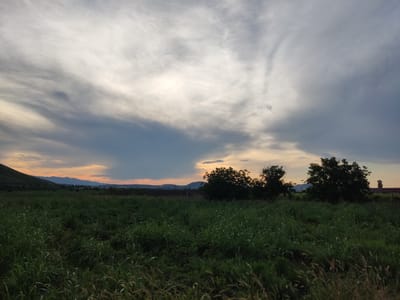 The image shows a sunset over a grassy field with trees and hills in the distance, likely on the outskirts of Krichim, Bulgaria. The sky is filled with dramatic clouds, with streaks of light and darker shades of grey and blue. The sun appears to be setting behind the distant hills, casting a warm, orange glow on the horizon. The foreground is dominated by a dense field of green grass, some of which is illuminated by the fading sunlight. Several trees are silhouetted against the sky in the middle ground. The overall impression is one of a serene, natural landscape at dusk.