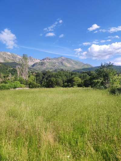 A wide, outdoor, eye-level, landscape photograph shows a verdant field of tall grass in the foreground. The grass is predominantly green with some stalks of yellow and brown scattered throughout. The field extends towards a line of trees and hills in the middle ground, which are also covered in lush green foliage. Behind the trees and hills, a range of rugged mountains rises, their slopes showing patches of exposed rock and sparse vegetation. The sky above is a clear, bright blue, dotted with fluffy white clouds. The scene appears to be a natural landscape, likely in a rural area. The image is captured on a sunny day, with bright natural light illuminating the scene. The location is identified as the Egnatia Municipal Unit, Greece.