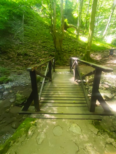 A wooden bridge with dark brown railings crosses a shallow, rocky stream in a lush, green forest. The bridge is made of light-colored wooden planks and is oriented diagonally, leading from the foreground into the background. The forest floor is covered in moss and fallen leaves, with trees rising on either side. Sunlight filters through the dense canopy, creating dappled light on the ground and bridge. In the background, a person is walking on a path to the right of the bridge. The scene depicts a natural setting, likely a park or hiking trail, within the city of Teteven, Bulgaria.