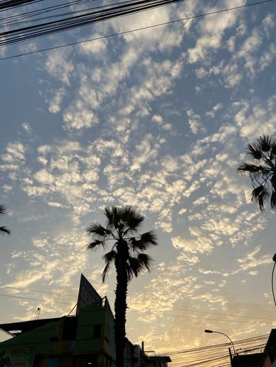 The image, taken in San Juan de Miraflores, Peru, looks upward towards a sky filled with altocumulus clouds, transitioning from blue in the lower portion to a golden hue near the horizon. Two palm trees are visible, one in the top center and another larger one on the right. Power lines run along the left side of the image. A building with a sign partially visible that reads "POLICLINICO DENTAL" and some other illegible words. A streetlight is on the right side of the image. The building appears to be a dark, weathered color.