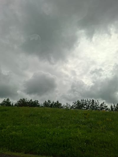 The image captures a broad, overcast sky with dramatic, grey clouds filling most of the frame. Below the sky, a dense line of dark green coniferous trees forms a natural horizon. In the foreground, a vibrant, green grassy field stretches upwards, dotted with small, white and yellow wildflowers. The scene appears to be an outdoor, natural environment, possibly a meadow or hillside, with no visible signs of human structures or activity within the main view, except for a faint reflection in the upper left quadrant of the sky, suggesting the image may have been taken from inside a vehicle. The overall mood is somber and naturalistic, characteristic of a cloudy day.