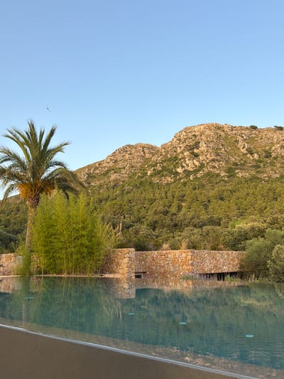 This image depicts an outdoor scene featuring an infinity pool in the foreground with a reflection of bamboo and a stone wall. Behind the pool, a palm tree stands to the left, and a dense forest covers the lower slopes of a rocky mountain range that dominates the background. The sky is clear and blue, with a single bird visible in the upper left quadrant. The setting appears to be a tranquil, natural environment, likely a resort or private residence. The location is specified as being in the city of Artà, Spain. The image is taken during daylight, likely late afternoon given the warm lighting on the mountain. No people are visible in the frame.