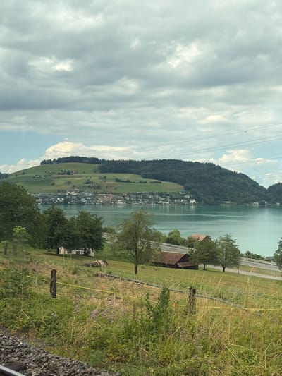 The image captures a scenic view of Immensee, Switzerland, dominated by a large, tranquil lake reflecting the soft, overcast sky. The lake stretches horizontally across the frame, with a densely forested mountain slope rising steeply from its shore on the left. A picturesque village or town is nestled along the base of the mountain and extends towards the lake, characterized by a collection of white buildings with red-tiled roofs, interspersed with greenery.
On the right side of the image, a grassy embankment slopes down towards the viewer. This area is covered with tall, dry grass and dotted with small purple flowers, suggesting a rural or semi-rural setting. A few trees are visible, and the presence of a road running parallel to the lake and passing behind some of the buildings indicates human settlement and infrastructure. The foreground on the right is a jumble of dark gray stones, likely part of a railway track, hinting that the photo was taken from a moving train or a location adjacent to a railway line.
Several power lines stretch across the sky from the left side of the frame, disappearing behind the mountain. The lighting is diffused, suggesting it is daytime, possibly late morning or afternoon, under a cloudy sky. The overall mood is serene and peaceful, showcasing the natural beauty of the Swiss landscape combined with the charm of a lakeside community. No visible text is present in the image.