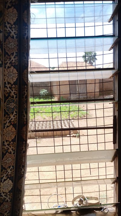 The image presents a view through a louvre window in Donga, Nigeria. The window has a grid pattern of panes, some of which are covered with translucent white fabric. To the left, a portion of a decorative curtain with floral patterns in earthy tones is visible.
Through the window, an outdoor scene unfolds. In the mid-ground, there's a patch of lush green vegetation, possibly a small garden, with a few scattered plants. In front of the garden, a series of rectangular concrete blocks are arranged in a grid-like fashion. Beyond this, a brick wall forms the perimeter of the yard, and several building structures with reddish-brown roofs are visible in the distance. A palm tree stands out against the bright sky, suggesting a tropical or sub-tropical climate.
The overall lighting indicates it is daytime, with the sky appearing bright and clear, hinting at sunny weather. The scene appears to be a residential or semi-rural setting. On the windowsill in the foreground, two white objects are placed: one is a coiled white cord, and the other appears to be a white sandal or strap. The overall mood is quiet and observational, offering a glimpse into a daily scene.