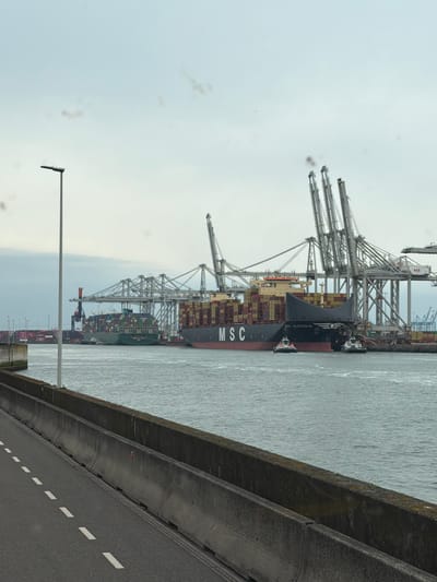This image depicts a large container ship, identified as "MSC," docked at a port in Maasvlakte, Rotterdam, Netherlands. The ship is positioned parallel to a concrete barrier, with a road visible in the foreground featuring dashed white lines. Multiple gantry cranes are arranged around the ship, indicative of a container handling operation. The sky is overcast, suggesting a cloudy day. The scene appears to be a typical port operation.