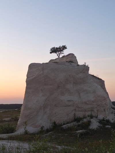 The media file depicts a dramatic cliff face made of light-colored rock, possibly chalk or limestone. A single, gnarled tree clings precariously to the edge of the cliff, its dark branches stark against the pale rock and the soft hues of the sky. The scene is oriented vertically, giving the impression of a towering natural structure.
The sky transitions from a pale blue at the top to a warm, soft gradient of peach and orange near the horizon, suggesting either sunrise or sunset. The cliff face itself is textured with layered striations, indicative of geological formation. Patches of dark green vegetation, including grass and small bushes, are visible growing along the top and sides of the cliff, adding a touch of life to the otherwise stark landscape.
The overall mood is one of solitude and natural beauty, highlighting the resilience of the tree against the imposing rock formation. There is no visible text in the image. The location context provided is Fetești, Moldova.
