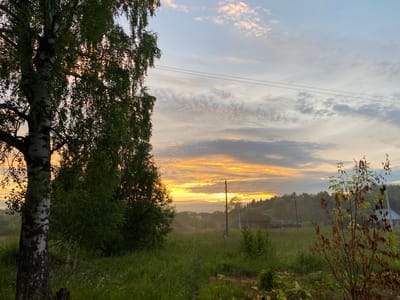 This media file captures a tranquil rural landscape at dawn or dusk in Baklushi, Russia. The scene is dominated by lush green fields and a grove of trees, with a prominent birch tree in the foreground on the left. The sky is a canvas of soft blues and grays, streaked with vibrant orange and yellow hues as the sun's rays break through the clouds. A few scattered houses and a utility pole are visible in the distance, hinting at a small, secluded community. The overall atmosphere is peaceful and serene, evoking a sense of calm and natural beauty. There is no visible text in the image.