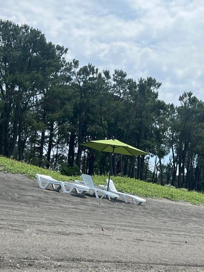 The image depicts a serene beach scene in Shekvetili, Georgia. In the foreground, dark sand stretches across the frame, marked by subtle ripples and scattered small pebbles. Several white plastic lounge chairs are arranged on the sand, facing the viewer. Behind the chairs, a vibrant green umbrella stands open, providing shade. A dense line of tall, dark green pine trees forms a backdrop, their foliage reaching towards a cloudy sky. The ground leading up to the trees is covered in lush, bright green vegetation. The overall atmosphere is one of tranquility and relaxation.