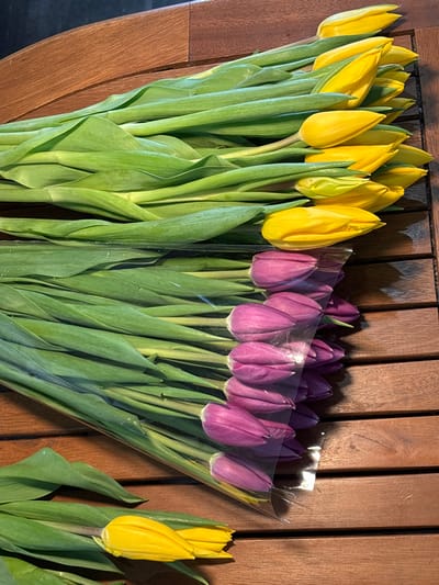 The image depicts three distinct groupings of cut tulips arranged on a slatted wooden surface. The scene is situated in the city of Slavyansk-na-Kubani, Russia.
At the top of the frame, a bundle comprising approximately fifteen yellow tulips with prominent green stems and leaves is oriented horizontally. Directly below this, a second bundle, consisting of approximately fifteen purple (magenta) tulips with green stems and leaves, is wrapped in clear, transparent plastic sheeting and also lies horizontally. A third, smaller grouping of two yellow tulips with green stems and leaves is positioned in the lower-left quadrant of the frame, separated from the main bundles. The tulips are in closed bud form. The wooden surface, serving as the background, features horizontal slats with a visible grain pattern and a uniform medium-brown coloration. Shadows are cast by the tulips onto the wooden surface, indicating a light source from above. No individuals or active interactions are present within the frame.