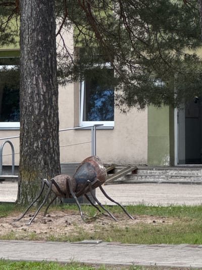 This media file depicts an outdoor scene with a sculpture of a large ant. The ant sculpture is made of metal and is positioned to the right of a large tree trunk. The tree trunk is in the foreground and appears to be a prominent element in the composition. Behind the tree and the ant sculpture, there is a building with windows. One window reflects the sky. The building has a light-colored facade. To the right of the ant sculpture, there is a paved pathway and a grassy area. The scene suggests it is daytime, with natural lighting. There are no people visible in the image. The overall setting appears to be an outdoor area adjacent to a building, possibly a park or a public space in Olaine, Latvia. The focus is on the ant sculpture and its surroundings.