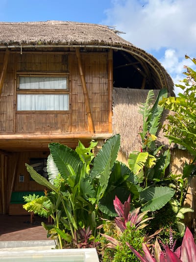 The image depicts a two-story bamboo structure with a thatched roof, likely a dwelling or commercial establishment, located in Singakerta, Indonesia. The building's facade is constructed of bamboo panels and includes two adjacent rectangular windows covered with sheer white curtains. A prominent bamboo support beam runs vertically along the side of the building. Lush tropical vegetation, including large-leaved plants and colorful foliage, partially obscures the building. A portion of the blue sky with white clouds is visible in the upper left corner. To the right of the structure, a section of a white wall or architectural element is visible. The overall setting evokes a tropical or Balinese aesthetic.