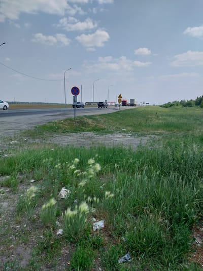 The image depicts a roadside scene in the city of Troitskoe, Russia, on a cloudy day. In the foreground, tall green grass and weeds grow along a dirt and gravel shoulder. Some patches of dry grass and litter are visible amongst the greenery.

The middle ground features a paved road with multiple lanes. Several vehicles are on the road, including a white car on the left, a dark SUV, and several trucks further down the road, suggesting traffic. A distinctive blue and red circular road sign with a diagonal red bar and an "X" mark, indicating a no-stopping zone, is prominently placed on the right side of the road. Beside it, a smaller white sign with an arrow points downwards. Roadside lighting poles are visible along the road.

In the background, a flat, open field stretches to the horizon, with some scattered trees and buildings visible in the distance. The sky is overcast with scattered white clouds. The overall impression is a utilitarian roadside environment in a rural or semi-rural part of the city.