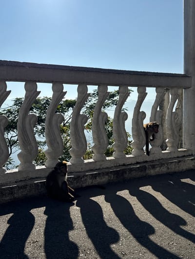 Two monkeys are seen on a decorative white stone railing, viewed from below at an angle. One monkey sits on the railing, while the other clings to its side. The railing is ornate with repetitive, curved shapes. In the background, greenery is visible through the openings of the railing. A bright blue sky occupies the upper left portion. Dark, elongated shadows cast by the railing stretch across a textured surface on the right side of the image.