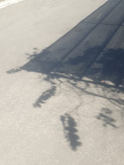 The image displays a shadow of a fence cast upon a paved road in Proyonangg, Indonesia. The shadow is a dark, elongated shape, characterized by parallel lines that suggest the structure of the fence. The road surface appears to be asphalt, with a light gray, textured finish. In the foreground, there are also indistinct shadows of foliage or small objects, creating a dappled pattern on the road. Two small, reddish objects are visible on the road surface amidst the shadows, possibly fallen flower petals or debris. The lighting suggests a sunny day, with the sun positioned at an angle to cast the prominent fence shadow. The overall scene is an outdoor, urban or semi-urban environment, likely a public thoroughfare.