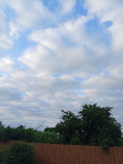 This is a medium-shot, vertical, exterior photograph taken in Panino, Russia. The image depicts a bright, cloudy sky with patches of blue visible. In the lower half of the frame, a wooden fence runs horizontally across the image. Above the fence, a dense line of green foliage, consisting of trees and bushes, forms a natural barrier. A large, leafy tree with dark green leaves is prominent on the right side of the frame, partially obscuring some of the foliage behind it. The overall impression is that of a residential backyard or a natural area bordered by a fence. There are no people or animals visible in the image.
