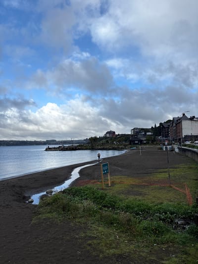 The image depicts a waterfront scene in Puerto Varas, Chile. The foreground is characterized by a dark, muddy bank with patches of grass and vegetation. A narrow, winding stream of water flows from the bank towards the lake or bay in the center of the image. A person stands near a sign at the edge of the muddy bank.
In the background, a line of buildings and houses is visible, suggesting an urban area along the waterfront. The sky is filled with a mix of white and grey clouds.
The overall scene suggests a somewhat overcast day at a lakeside or bayfront location with evidence of recent heavy water flow or drainage.