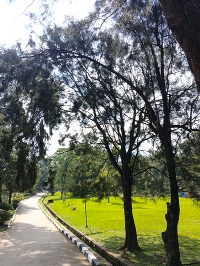 A bright, sunny scene features a winding concrete path bordered by a low, black and white curb. Lush green grass fills the space beyond the curb, dotted with scattered trees. Dense foliage, with visible branches, creates a partial canopy overhead, filtering the sunlight. A hint of a building is visible in the background. The overall impression is one of a well-maintained park or garden.