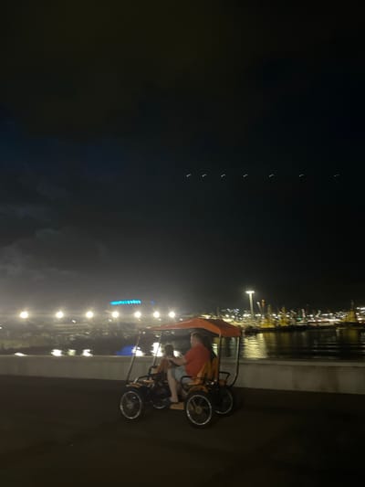 In Verkhnyaya Stavropol'ka, Russia, at night, a pedal-powered cart carrying two individuals is moving along a dark paved pathway. The cart has an orange canopy. The individuals appear to be a man in an orange shirt and a woman in a blue shirt. In the background, there is a body of water reflecting lights from a port or industrial area. The port features numerous illuminated structures, including cranes and buildings. The sky is dark with scattered clouds and faint green lights are visible in the upper portion of the image.