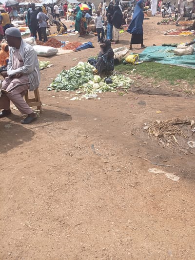 A bustling outdoor market scene unfolds in Tilde, Nigeria, with a focus on the foreground where a man in a light gray thobe and a grey skullcap sits on a wooden stool. He is wearing pink trousers and black slip-on shoes. To his left, another person in an orange garment is visible, partially obscured.

In the mid-ground, a variety of fresh produce is displayed on the ground and on mats. Piles of green cabbages are prominent, along with what appear to be dried goods such as chili peppers or small legumes. Several people are scattered throughout the market, some walking and others attending to their stalls. Notable are individuals wearing traditional Islamic attire, including women in hijabs and abayas. One woman in a dark blue hijab and black skirt is walking past a green tarp laid on the ground, which covers some goods. Another woman, dressed in a black garment and headscarf, is sitting on the ground near a pile of leafy greens, holding a dark bag.

The market environment is characterized by its dusty, unpaved ground. Debris, including dried plant matter, plastic bags, and discarded packaging, is visible scattered across the area, suggesting a well-worn marketplace. In the background, a multitude of people and market stalls create a crowded atmosphere. Umbrellas and awnings provide some shade. A white motorcycle is parked in the distance. The overall impression is one of a vibrant, active marketplace in a hot, dry climate.