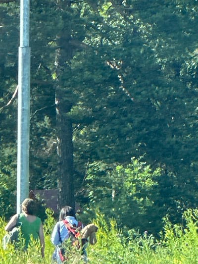 The image shows a sunny, outdoor scene with dense green foliage in the background and a tall, light gray pole on the left. In the foreground, two individuals are walking away from the camera. The person on the left is wearing a green top and has dark hair. The person on the right has dark hair and is wearing a blue top with a red and black backpack. A light brown object, possibly a bag or jacket, is slung over their right shoulder. The ground in the foreground is covered in tall green grass and some smaller plants. The overall impression is of a natural setting, possibly a park or wooded area, consistent with the park in Dubrovitsy, Russia.
