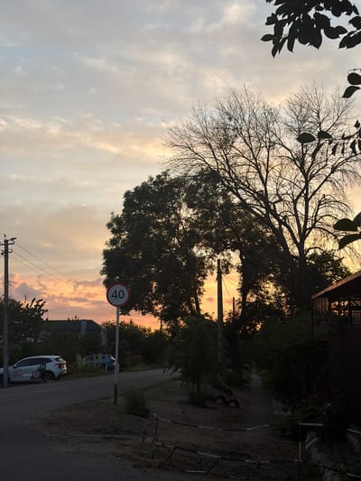 The image depicts a street scene at dusk in Proletarskii, Russia. The sky is filled with a warm, pastel-colored sunset, with soft clouds tinged with orange and yellow. Silhouetted against the sky are the bare branches of a large deciduous tree in the foreground, and further back, the dark foliage of other trees.
To the left of the frame, a white car with "Яндекс Go" branding is parked on the side of a paved road. Further down the road, another car is visible. A utility pole with electrical wires stands near the side of the road. A circular speed limit sign with "40" in white on a red background is mounted on a pole in the middle ground.
To the right, the edge of a building with a wooden structure is visible. A pathway runs alongside the road, bordered by dense vegetation. The ground in the foreground is covered with dry grass and a low metal fence. The overall atmosphere is one of quiet twilight in a semi-rural or suburban setting.