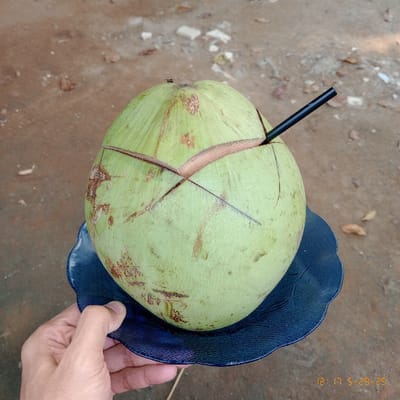 A hand is holding a blue plastic plate with a green coconut in the center. The coconut has been cracked open and a black plastic drinking straw is inserted into the opening. The background shows a dirt ground surface. The image was taken in Kecamatan Panongan, Indonesia at the coordinates -6.267 latitude and 106.545 longitude.