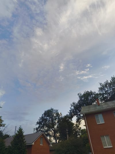 The image depicts an outdoor scene with a sky full of clouds, ranging from wispy cirrus clouds to more textured stratocumulus. The sky occupies a significant portion of the frame, showcasing a soft, diffused light that suggests either early morning or late afternoon. There are no visible people in the image.

In the foreground and mid-ground, several elements of a suburban or rural setting are visible. A brick building with a green tiled roof and white-trimmed windows is prominent on the right side of the image. Adjacent to it, another building with a gray metal roof and a small window is partially visible on the left. Both buildings appear to be houses.

Numerous trees are scattered throughout the scene, with a mix of deciduous and coniferous varieties. Some of the trees are dense and dark green, while others have a more feathery appearance. The overall setting suggests a residential area in a natural environment.

The time of day is likely either sunrise or sunset due to the soft lighting and cloud formations. The weather appears to be overcast but pleasant. There are no identifiable text elements within the image. The scene conveys a sense of quiet and natural beauty. The location context provided indicates Мещерино, Russia.