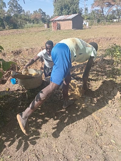 Two men are working in a field, likely in a rural setting. One man is standing, wearing a light green t-shirt and blue shorts, while the other is kneeling and wearing a white t-shirt. They appear to be working with a bucket or container of some sort. The ground is dry and earthy, with scattered vegetation and shadows from trees. A small building is visible in the background. The image appears to be taken on a sunny day.
