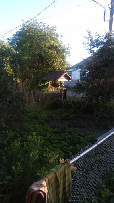 The image shows a rural scene in Zhurivka, Ukraine. A wire mesh fence runs diagonally across the foreground, with two pieces of fabric draped over it. Behind the fence is a well with a corrugated roof. In the background, a white house with green trim is visible, surrounded by trees and foliage. The sky is clear and blue, and the sun is shining, casting shadows. The overall impression is one of a quiet, rural setting in the Ukrainian countryside.