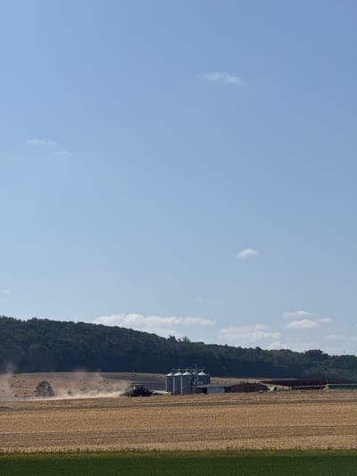 The image depicts a wide, rural landscape under a clear blue sky with scattered white clouds. In the foreground, a field of harvested grain, appearing golden brown and textured, stretches horizontally. A strip of vibrant green vegetation marks the very bottom of the frame.

Dominating the middle ground is a vast, dry field, likely post-harvest. A red and green tractor is actively working the field, kicking up a noticeable cloud of dust as it moves. Several large, round bales of hay are scattered across this field, some appearing freshly made and others further into the field. To the right of the tractor and hay bales, a farm complex is visible. It includes two tall, silver silos, a low-slung building with a gray roof, and further to the right, a long, open-sided barn with a reddish-brown roof.

The background is defined by a dense, dark green forest that forms a rolling hill. The horizon is a clear line where the sky meets the trees. The overall impression is one of agricultural activity in a natural setting, likely during the late summer or early autumn harvest season. This scene is consistent with the agricultural land surrounding Liederbach, Germany, known for its rolling hills and farming communities. There are no people directly visible in the image, only the tractor in operation.