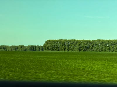 The image depicts a vast, green field stretching horizontally across the foreground. The field exhibits a blurred, streaked appearance, suggesting motion, possibly due to a fast-moving camera or wind. In the background, a dense line of green trees forms a distinct horizon, separating the field from the sky. The sky above is a uniform, pale turquoise color, devoid of clouds or any visible celestial bodies. The scene is devoid of any human presence or any man-made structures. The photograph appears to be taken in an open, rural area, consistent with the agricultural landscape that might be found in the vicinity of Posevnaya, Russia.