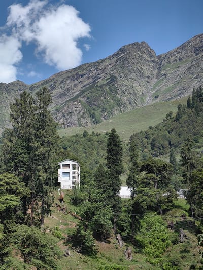 This is a full, eye-level, outdoor, vertical, medium shot of a mountainous landscape with a building. The scene is set in Burwa, India. In the foreground, a dense forest of various trees, including tall evergreens, covers a sloped terrain. Some dead tree stumps are visible amidst the foliage. A path winds through the greenery. In the midground, a white, multi-story building with blue-tinted windows stands on a small clearing amidst the trees. The building has a boxy, modern design with balconies and white railings. In the background, a massive, rocky mountain range dominates the scene, with steep slopes covered in sparse vegetation. The sky above is a clear blue with a few white, puffy clouds. The lighting suggests it is daytime. There are no people visible in the image.