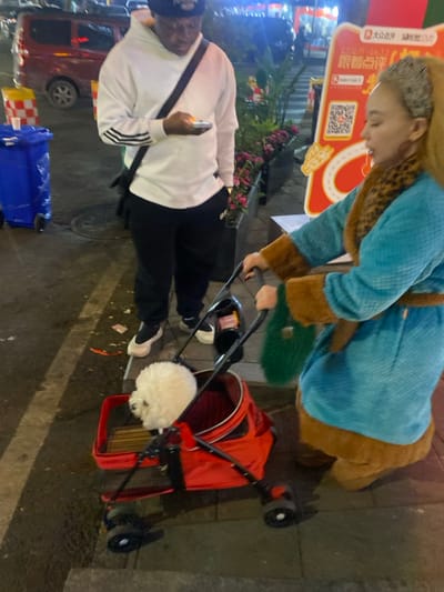 An urban street scene is depicted in 天宫殿街道, China, at what appears to be evening or night due to artificial lighting. Two individuals are present on a paved sidewalk alongside a road.
On the left, a male individual of dark complexion stands facing slightly right, looking down at a light-colored smartphone held in his hands. He wears a dark baseball cap, a white long-sleeved hoodie with three black stripes on the left arm, dark pants, and light-colored sneakers with dark soles. A black cross-body bag strap is visible across his chest. Behind him to the left, a blue wheeled refuse bin is visible, and further back, a red minivan is parked on a dark road.
To the right, a female individual of light complexion with long blonde hair and a dark leopard-print headband is pushing a red pet stroller. She wears a light blue, textured robe or coat with brown fur trim on the collar, cuffs, and hem, cinched with a matching blue belt. A fuzzy green handbag hangs from her left arm. She is looking downwards towards the stroller, which she pushes with both hands on the black handle. Inside the red fabric carrier of the stroller, a small, fluffy white dog, possibly a Bichon Frise or Poodle, sits upright, facing left.
In the background between the two individuals and to the right of the female, there are planter boxes with green foliage and some pink flowers. A large, illuminated red and white upright sign with Chinese characters and a QR code, likely for a business or a review platform, stands near the female. The sidewalk is visibly wet in some areas.