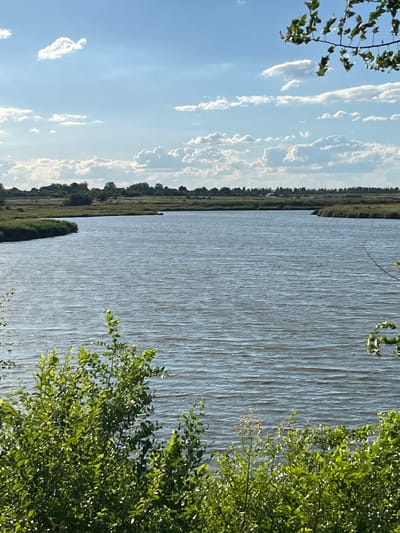 The image shows a calm body of water, likely a river or lake, with ripples reflecting the blue sky and scattered white clouds. The foreground is dominated by lush green foliage, with trees and bushes extending into the frame from the bottom and right edges. In the background, there is a flat, grassy shoreline with a line of trees and some buildings visible in the distance, suggesting a rural or semi-rural setting. The sky is partly cloudy, with a bright blue expanse. The scene appears to be set in the city of Shyroka Dacha, Ukraine, likely during daylight hours given the brightness and the clear sky. There are no people or animals visible in the image. The overall atmosphere is tranquil and natural.