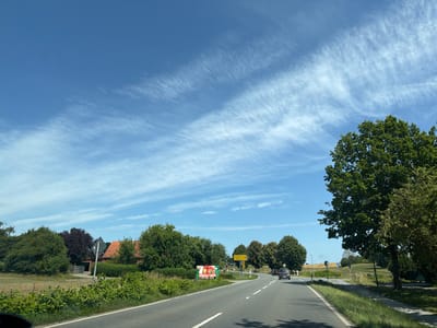 The image captures a sunny day in Passade, Germany, with a clear blue sky streaked with wispy white clouds. The scene is viewed from a car driving on a paved road that curves to the right. On the left side of the road, there is a field and a cluster of trees, including some with dark red foliage, behind which red-roofed buildings are visible. Further down the road on the left, a colorful advertising banner is displayed.

On the right side of the road, a large, leafy green tree dominates the foreground. Beyond the tree, the land slopes gently, and in the distance, rows of crops and more trees can be seen. A few cars are driving on the road ahead, and a road sign with yellow directional arrows is also visible. The overall impression is a serene rural landscape.