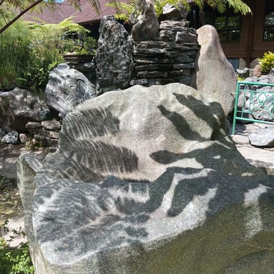 The image shows a stone garden feature, likely a water feature, in an outdoor setting. The primary subject is a large, grey, weathered boulder in the foreground, with intricate patterns of fern-like shadows cast upon it. Behind this boulder, there are several other rocks of varying sizes and shapes, some stacked to form a tiered structure, possibly a miniature waterfall or rock garden. The background includes lush green foliage, a brown tiled roof of a building, and a green metal fence. The location is identified as Laugumba, Indonesia. There are no people visible in the image. The scene appears to be a tranquil, naturalistic landscape designed with stones and plants.