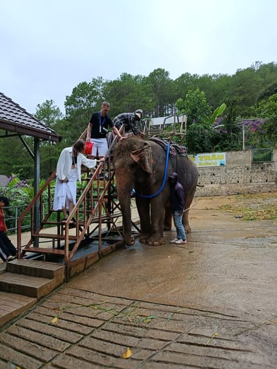 An elephant is being prepared for riders on a wet, outdoor concrete platform. A metal ramp with wooden steps leads up to the elephant's back, where a saddle with seats is attached. Several people are on the ramp, assisting a woman in a white outfit as she climbs. One person, wearing a black t-shirt with "NIKE" on it, stands on the ramp, and another, in a plaid shirt, is on the elephant's back. A person in a dark hoodie and jeans stands by the elephant's side, holding a stick. The background features a wall with a sign that reads "TRAU BUFFALO," lush green trees, and the cloudy sky. The ground is wet with scattered leaves and grass. The scene appears to be at an elephant sanctuary or tourist attraction.