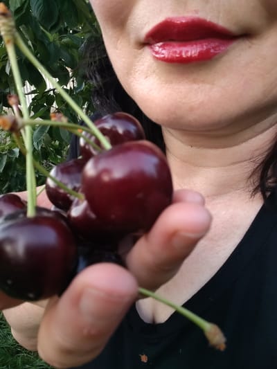 A close-up shot shows a person holding a cluster of dark red cherries. The cherries are the main focus, with their glossy skin and delicate green stems. The person's hand, with fingers partially obscuring some of the cherries, is also visible. The person is wearing a black shirt. Behind the cherries and the hand, a portion of the person's face is visible, including their lips, which are adorned with red lipstick. Dark hair frames their face. The background consists of lush green foliage, suggesting an outdoor setting with trees or plants. The lighting appears to be natural, consistent with daytime. The overall impression is one of freshness and natural beauty, highlighting the cherries and the person's enjoyment of them. The context provided, Çolpon-Ata, Kyrgyzstan, suggests the scene is likely set in a region where cherries are grown or are readily available.