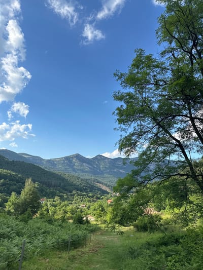 The image depicts a picturesque landscape with rolling, tree-covered hills and mountains under a bright blue sky with scattered white clouds. In the foreground, lush green ferns and grass are visible, bordered by a simple wire fence. A dirt path winds through the vegetation. In the middle ground, scattered houses with red roofs are nestled amongst the trees, suggesting a rural village. The background is dominated by the majestic, layered peaks of the mountains. The overall scene conveys a sense of tranquility and natural beauty. It is highly likely that this image was taken in or around Zgorigrad, Bulgaria, given the characteristic mountainous terrain and village structures typical of the region.