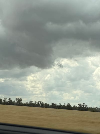 This media file depicts a landscape scene from Svetlograd, Russia, with a focus on the sky and a portion of the land. The image is oriented vertically, showing a dramatic sky filled with a mix of dark, heavy storm clouds on the left and lighter, brighter clouds on the right, suggesting an approaching or receding storm.
The foreground is dominated by the sky, which occupies most of the frame. The contrast between the dark, ominous clouds and the brighter, almost white clouds creates a sense of dynamic weather. On the right side of the image, a strip of land is visible, appearing as a field of dry, golden-brown grass. This field runs diagonally, disappearing towards the bottom right corner. A line of trees, dark and silhouetted against the sky, marks the boundary between the field and the clouds. These trees are dense and appear to be native to the region.
The overall impression is one of a slightly overcast or stormy day, likely in the late afternoon or early evening, given the quality of light filtering through the clouds. The scene evokes a feeling of nature's power and the vastness of the sky. There are no people or specific objects visible, nor is there any visible text. The location context of Svetlograd, Russia, suggests a rural or semi-rural setting.