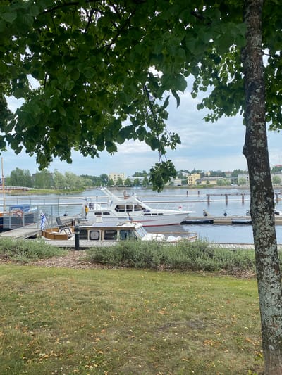 The image depicts a waterfront scene in Joensuu, Finland. In the foreground, a grassy area with scattered fallen leaves is visible, bordering a wooden dock. Several boats are moored at the dock, including a white motor yacht with "TOPPIKULA" written on its side, and another smaller boat with a wooden deck and a Finnish flag. Behind the boats, a calm body of water stretches towards the opposite bank, which is lined with trees and buildings. The architecture of the buildings suggests an urban environment. A bridge can be seen in the distance. The sky is overcast with clouds. The overall impression is one of a peaceful, possibly summer or early autumn day in a Finnish city.